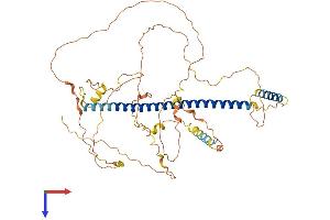 AlphaFold protein structure predicition of Human Recombinant CREB3L1 Protein, UniprotID Q96BA8