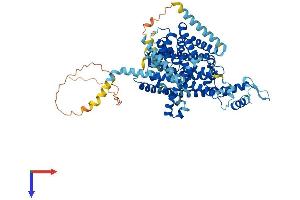 AlphaFold protein structure predicition of Mouse Recombinant Slc28a2 Protein, UniprotID O88627