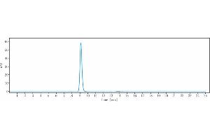 anti-EPHA3 (Ifabotuzumab Biosimilar) antibody