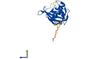 AlphaFold protein structure predicition of Mouse Recombinant Nudt4 Protein, UniprotID Q8R2U6