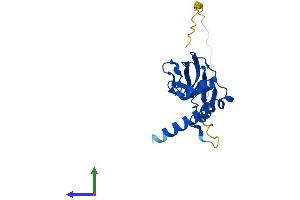 AlphaFold protein structure predicition of Human Recombinant VHL Protein, UniprotID P40337