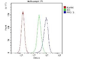 Flow Cytometry analysis of A431 cells using anti-PPID antibody (ABIN6719438). (PPID anticorps  (AA 306-370))