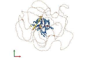 AlphaFold protein structure predicition of Mouse Recombinant Usp53 Protein, UniprotID P15975