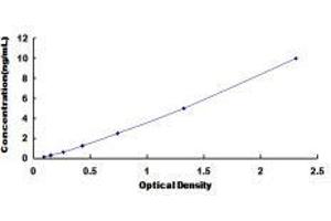ELISA image for Cyclin B2 (CCNB2) ELISA Kit (ABIN418956)