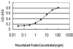 Detection limit for recombinant GST tagged PTCH is approximately 0. (Patched 1 anticorps  (AA 841-940))