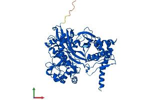 AlphaFold protein structure predicition of Mouse Recombinant Fggy Protein, UniprotID A2AJL3