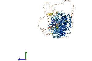 AlphaFold protein structure predicition of Mouse Recombinant Slc12a5 Protein, UniprotID Q91V14