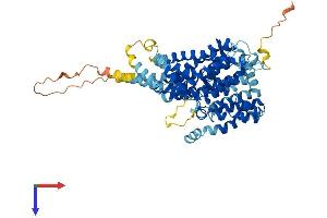 AlphaFold protein structure predicition of Human Recombinant SLC13A2 Protein, UniprotID Q13183