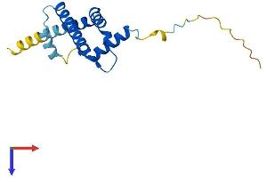 AlphaFold protein structure predicition of Mouse Recombinant Arl2bp Protein, UniprotID Q9D385