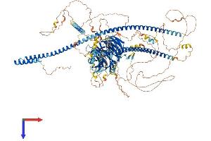 AlphaFold protein structure predicition of Human Recombinant SPAG9 Protein, UniprotID O60271