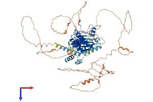 AlphaFold protein structure predicition of Human Recombinant SNRK Protein, UniprotID Q9NRH2