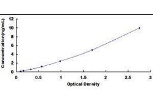 CD19 Molecule (CD19) ELISA Kit
