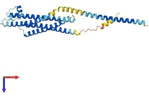AlphaFold protein structure predicition of Human Recombinant STX1B Protein, UniprotID P61266