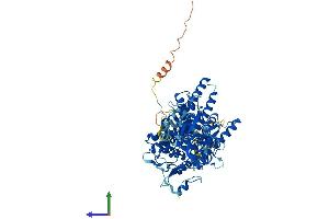 AlphaFold protein structure predicition of Mouse Recombinant Pomt1 Protein, UniprotID Q8R2R1