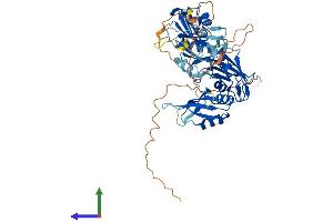 AlphaFold protein structure predicition of Human Recombinant HNRNPLL Protein, UniprotID Q8WVV9