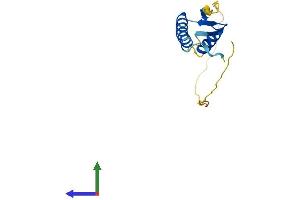 AlphaFold protein structure predicition of Mouse Recombinant Lage3 Protein, UniprotID Q9CR70