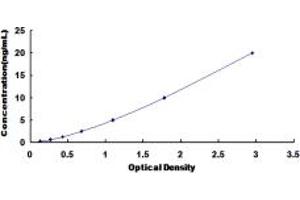 Typical standard curve (DLG3 Kit ELISA)