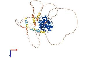 AlphaFold protein structure predicition of Mouse Recombinant Senp2 Protein, UniprotID Q91ZX6