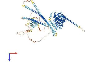 AlphaFold protein structure predicition of Human Recombinant TBC1D2 Protein, UniprotID Q9BYX2