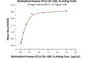 Immobilized Human HVEM, His Tag (ABIN4949110,ABIN4949111) at 5 μg/mL (100 μL/well) can bind Biotinylated Human BTLA (31-150), Fc,Avitag (ABIN5954952,ABIN6253553) with a linear range of 0.
