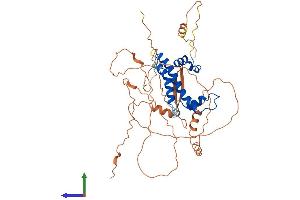 AlphaFold protein structure predicition of Human Recombinant NFYC Protein, UniprotID Q13952