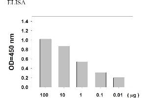 Image no. 5 for Epidermal Growth Factor Receptor (EGFR) ELISA Kit (ABIN625225) (EGFR Kit ELISA)