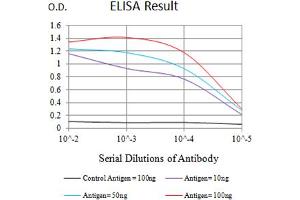 anti-B and T Lymphocyte Associated (BTLA) (AA 31-157) antibody