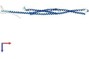 AlphaFold protein structure predicition of Human Recombinant TEKT4 Protein, UniprotID Q8WW24