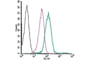 Cell surface detection of P2Y14 by direct flow cytometry in live intact human THP-1 monocytic leukemia cells: (black line) Cells.