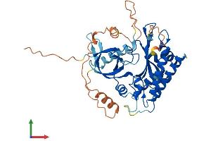 AlphaFold protein structure predicition of Mouse Recombinant Ip6k3 Protein, UniprotID Q8BWD2