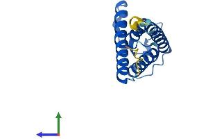 AlphaFold protein structure predicition of Mouse Recombinant Sys1 Protein, UniprotID Q78S06