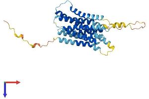 AlphaFold protein structure predicition of Human Recombinant SLC39A1 Protein, UniprotID Q9NY26