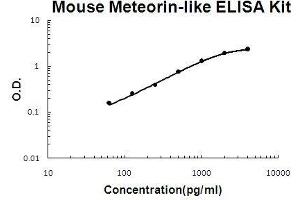 Mouse Meteorin-like/METRNL PicoKine ELISA Kit standard curve (METRNL Kit ELISA)