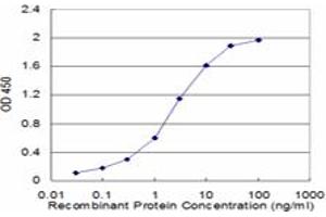 Detection limit for recombinant GST tagged CRYGD is approximately 0.