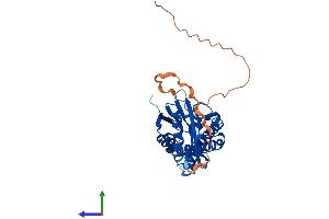 AlphaFold protein structure predicition of Mouse Recombinant Nat8l Protein, UniprotID Q3UGX3