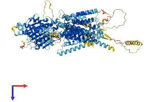 AlphaFold protein structure predicition of Human Recombinant PIGO Protein, UniprotID Q8TEQ8