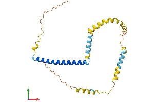 AlphaFold protein structure predicition of Human Recombinant TPD52L1 Protein, UniprotID Q16890
