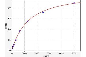 Typical standard curve (NFE2L1 Kit ELISA)