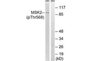 Western blot analysis of extracts from 293 cells treated with H2O2 100uM 15', using MSK2 (Phospho-Thr568) Antibody.