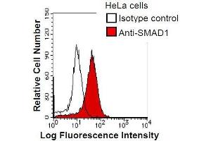 HeLa cells were fixed in 2% paraformaldehyde/PBS and then permeabilized in 90% methanol.