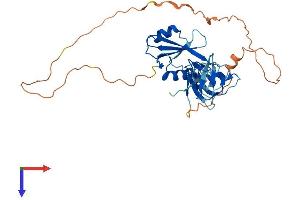 AlphaFold protein structure predicition of Human Recombinant GRAP2 Protein, UniprotID O75791