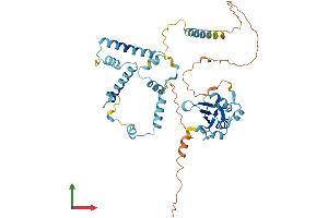 AlphaFold protein structure predicition of Human Recombinant RBM41 Protein, UniprotID Q96IZ5