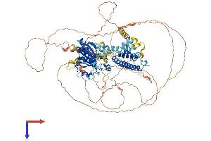 AlphaFold protein structure predicition of Mouse Recombinant Kansl3 Protein, UniprotID A2RSY1