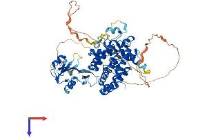 AlphaFold protein structure predicition of Human Recombinant SH2D3A Protein, UniprotID Q9BRG2