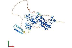 AlphaFold protein structure predicition of Human Recombinant DEF8 Protein, UniprotID Q6ZN54