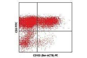Flow Cytometry (FACS) image for anti-Integrin, alpha E (Antigen CD103, Human Mucosal Lymphocyte Antigen 1, alpha Polypeptide) (ITGAE) antibody (PE) (ABIN2662416)