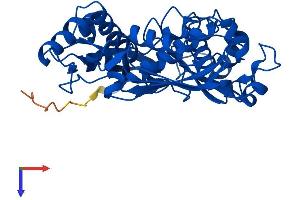 AlphaFold protein structure predicition of Human Recombinant MAT1A Protein, UniprotID Q00266