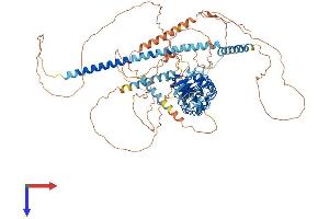 AlphaFold protein structure predicition of Mouse Recombinant Cep97 Protein, UniprotID Q9CZ62
