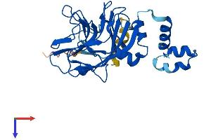 AlphaFold protein structure predicition of Human Recombinant SPSB1 Protein, UniprotID Q96BD6