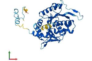 AlphaFold protein structure predicition of Human Recombinant NUBP1 Protein, UniprotID P53384